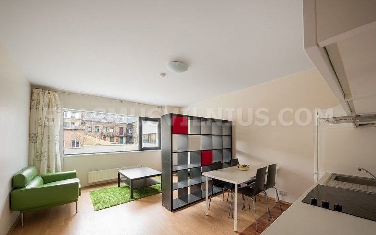 Cuisine entièrement équipée avec four, plaques et lave-vaisselle dans l'appartement Erasmus, Mindaugo gatvė Vilnius