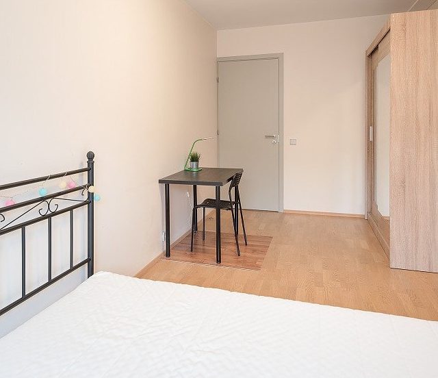 Deuxième chambre (16 m²) avec lumière naturelle et lit king size dans l'Appart. 2, Vilnius