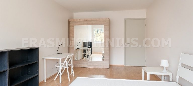 Grande chambre de 21 m² avec lit king size dans l'Appart. 2 d'Erasmus Vilnius, Mindaugo gatvė