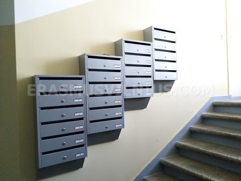 Vue depuis la fenêtre de toit sur les clochers de la vieille ville de Vilnius en été