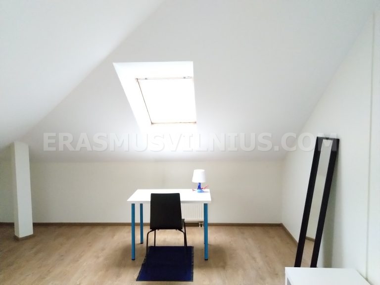 Salon avec fauteuil et tapis, logement étudiant à Vilnius