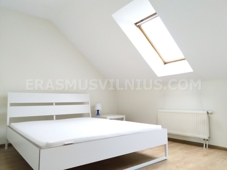 Cuisine avec four, plaques et plan de travail dans le logement étudiant de Vilnius