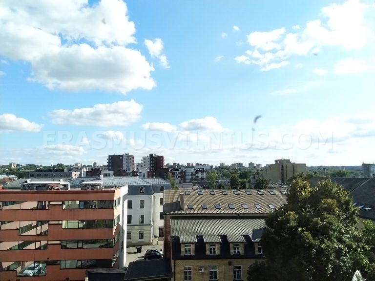 Chambre privée avec bureau et armoire dans l'Appart. 3, Vilnius