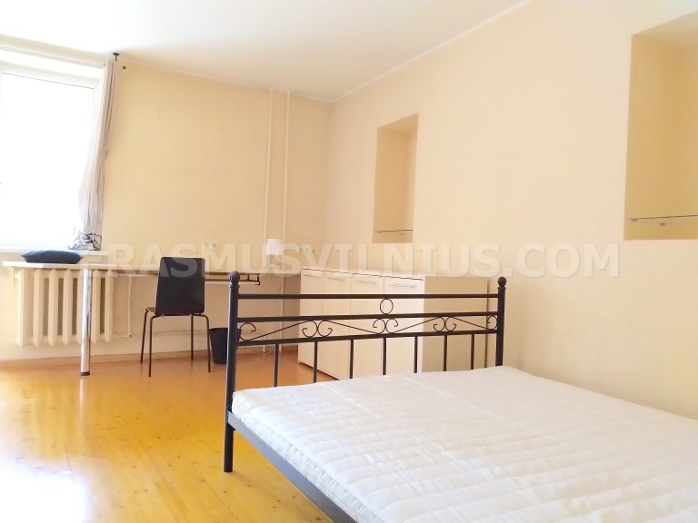 Intérieur de chambre avec tapis et lampe dans l'appartement Erasmus, Kauno gatvė